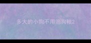 多大的小狗不用泡狗粮