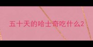 五十天的哈士奇吃什么