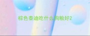 棕色泰迪吃什么狗粮好