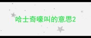 哈士奇嚎叫的意思