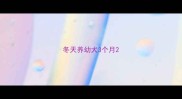 冬天养幼犬3个月