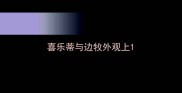 喜乐蒂与边牧外观上