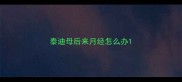 泰迪母后来月经怎么办
