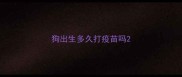 狗出生多久打疫苗吗