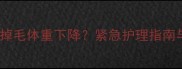 三个月金毛频繁掉毛体重下降紧急护理指南与科学应对方案