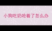 小狗吃奶呛着了怎么办