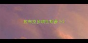 拉布拉多喂生胡萝卜