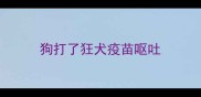 狗打了狂犬疫苗呕吐