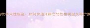 边境牧羊犬性格全如何快速分辨它的性格类型及养护要点