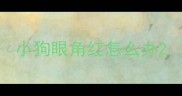 小狗眼角红怎么办