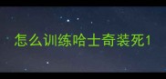 怎么训练哈士奇装死