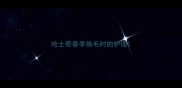 哈士奇春季换毛时的护理