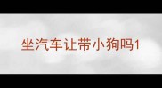 坐汽车让带小狗吗