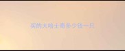 买的大哈士奇多少钱一只