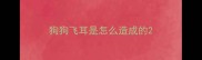 狗狗飞耳是怎么造成的