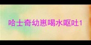 哈士奇幼崽喝水呕吐