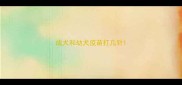 成犬和幼犬疫苗打几针
