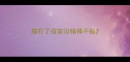 猫打了疫苗没精神不振