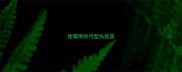 给猫用的弓型虫疫苗