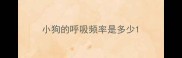小狗的呼吸频率是多少
