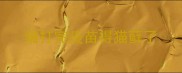 猫打完疫苗得猫藓了