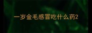 一岁金毛感冒吃什么药