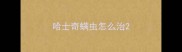 哈士奇螨虫怎么治