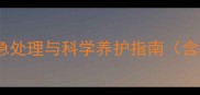 泰迪犬腹泻应急处理与科学养护指南含5大关键步骤