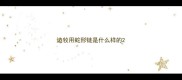 边牧用蛇形链是什么样的