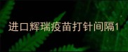 进口辉瑞疫苗打针间隔