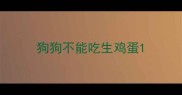 狗狗不能吃生鸡蛋