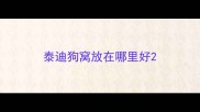 泰迪狗窝放在哪里好
