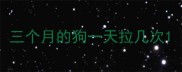 三个月的狗一天拉几次