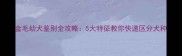 金毛幼犬鉴别全攻略5大特征教你快速区分犬种