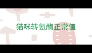 猫咪转氨酶正常值