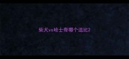 柴犬vs哈士奇哪个逗比
