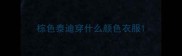 棕色泰迪穿什么颜色衣服