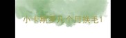 小卡斯罗几个月换毛