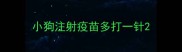 小狗注射疫苗多打一针
