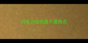 巧克力边牧是不是贵点