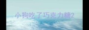 小狗吃了巧克力糖