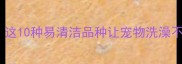 可以洗澡的宠物有哪些这10种易清洁品种让宠物洗澡不再难附洗澡全攻略