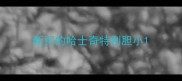 新买的哈士奇特别胆小