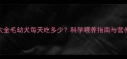两个月大金毛幼犬每天吃多少科学喂养指南与营养配比表