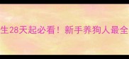 小狗疫苗时间表出生28天起必看新手养狗人最全指南附疫苗流程表