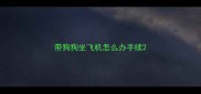 带狗狗坐飞机怎么办手续