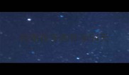 拉布拉多狗怀孕54天