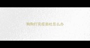 狗狗打完疫苗吐怎么办