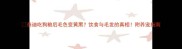 泰迪吃狗粮后毛色变黄黑饮食与毛发的真相附养宠指南