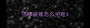 猫咪瘫痪怎么护理